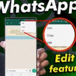 WhatsApp Messages With Ease